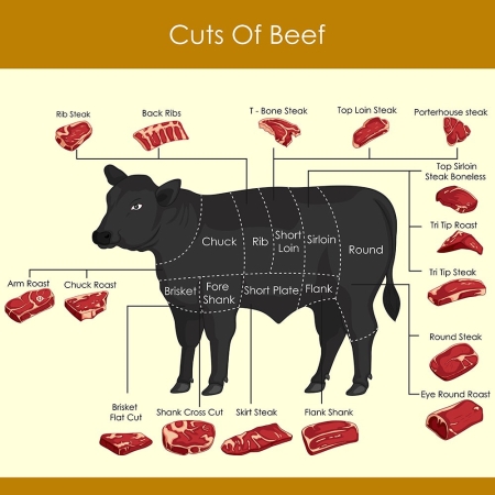 diagram-beef